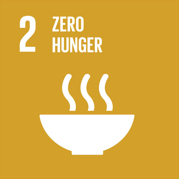 SDG 02